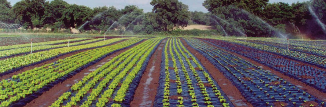 BioBag Agricultural Film